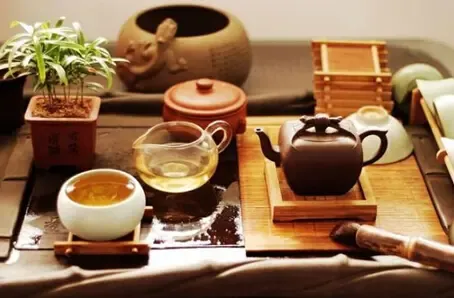 茶香蕴自然，养生之道探幽